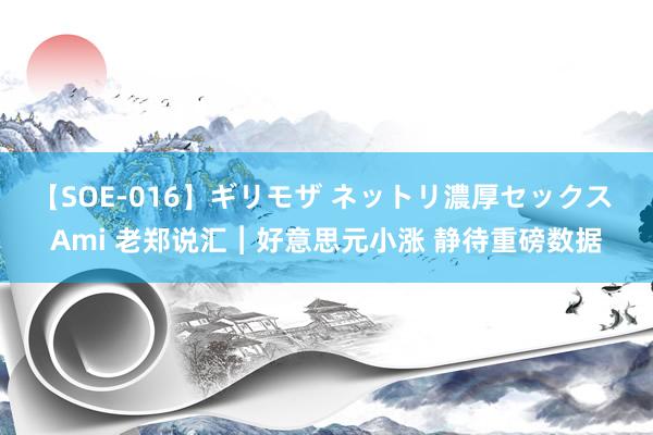 【SOE-016】ギリモザ ネットリ濃厚セックス Ami 老郑说汇︱好意思元小涨 静待重磅数据