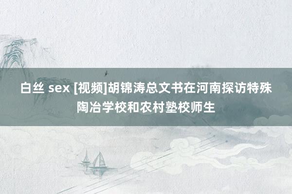 白丝 sex [视频]胡锦涛总文书在河南探访特殊陶冶学校和农村塾校师生